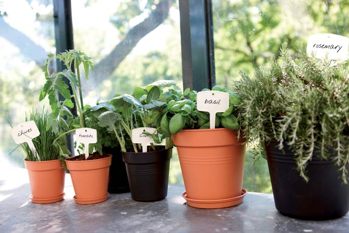 green basics growpot 13cm living black